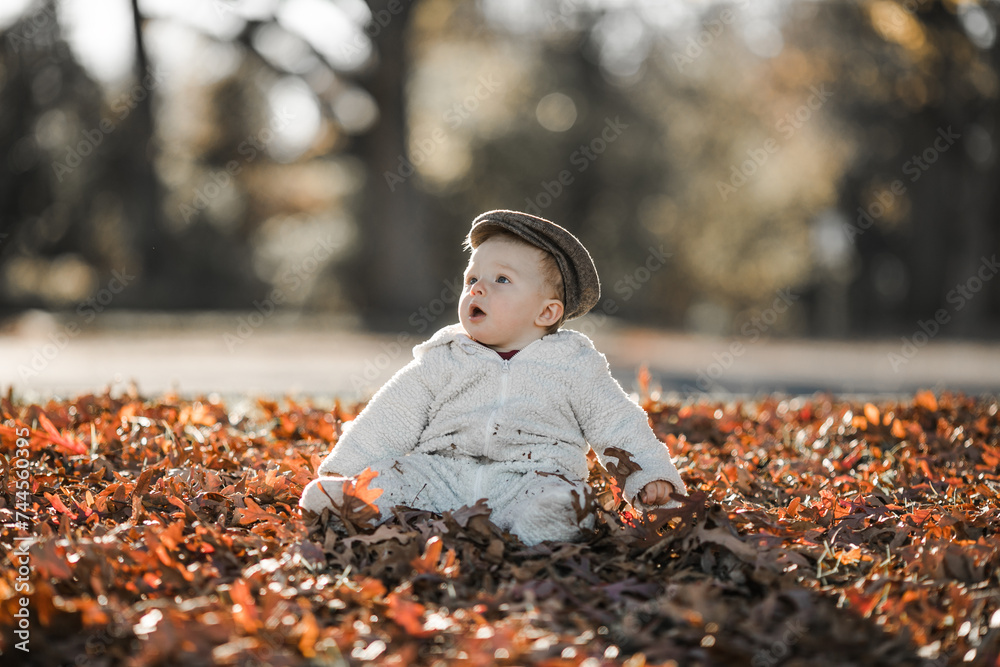 Baby boy play in autumn park. Children throwing yellow leaves.Baby with oak and maple leaf. Fall foliage. Baby boy play in autumn park. Children throwing yellow leaves.Baby with oak and maple leaf. Fall foliage.