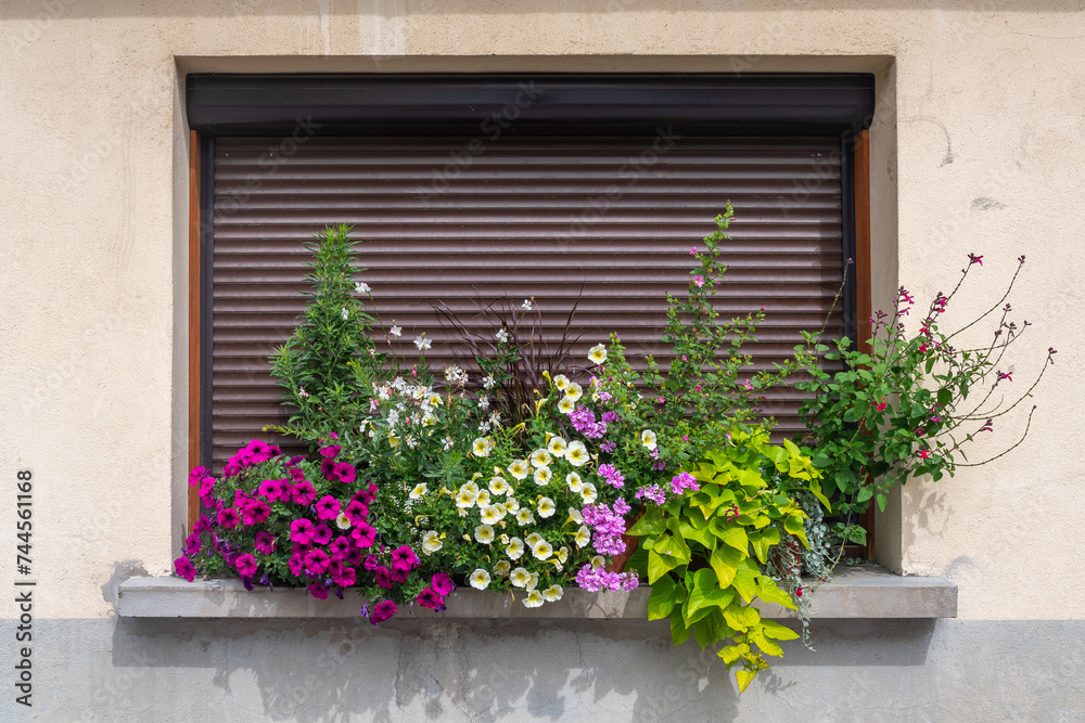 Detail of the exterior of a modern house with a closed window decorated with flowering potted plants in summer, France