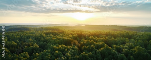 Drone view panoramic green forest at sunrise or sunset