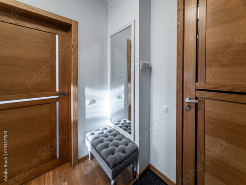 Hall in the modern flat.