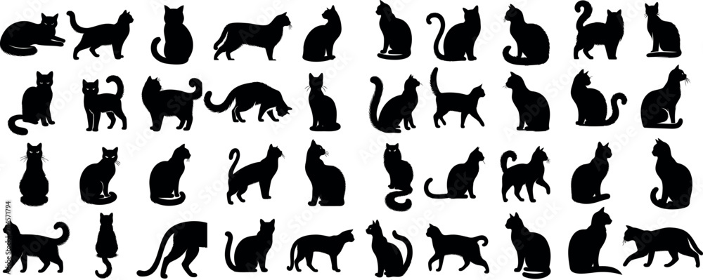 Fototapeta Black cat silhouettes in various poses, isolated on white background. Perfect for logos, decals, apparel design. Elegant, sleek feline figures showcasing minimalist modern art