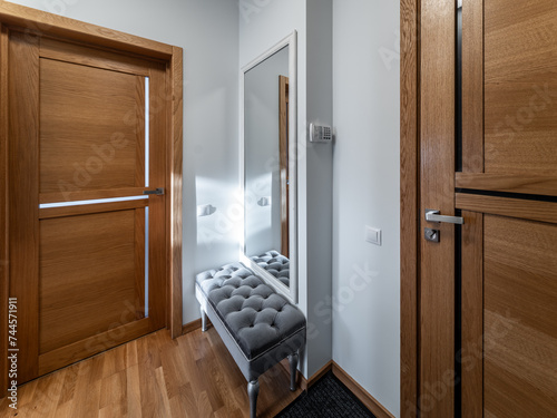 Hall in the modern flat.