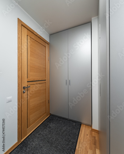 Hall in the modern flat.