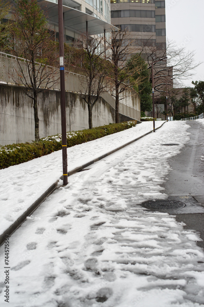 Obraz premium 2月に雪が積もった東京港区赤坂5丁目風景