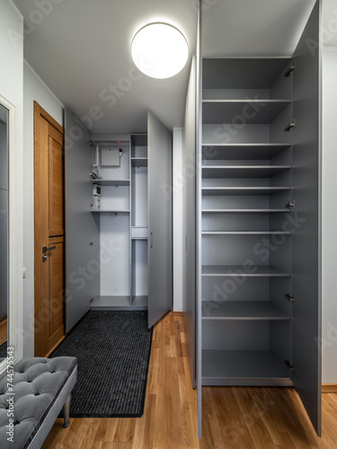 Hall in the modern flat.