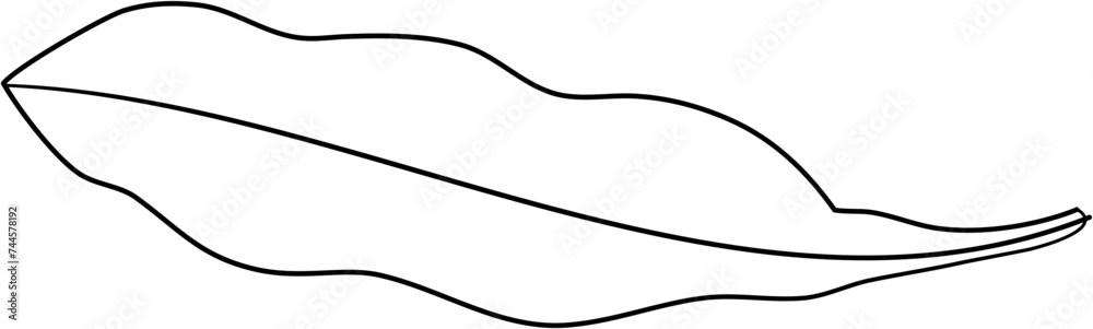 leaf lineart leaf lineart