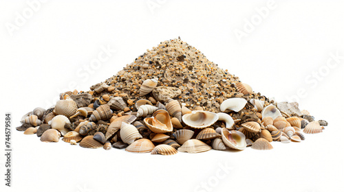 Sea shells in sand pile isolated on white background.