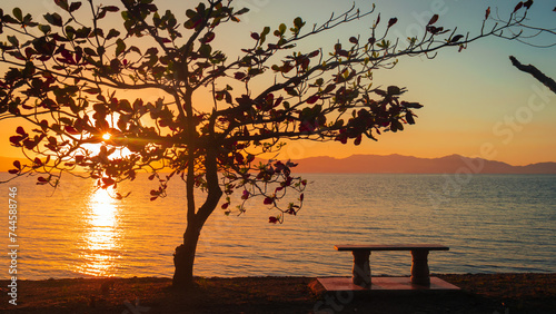 Solitary bench beside a tree by the sea at sunset. Romblon, Philippines