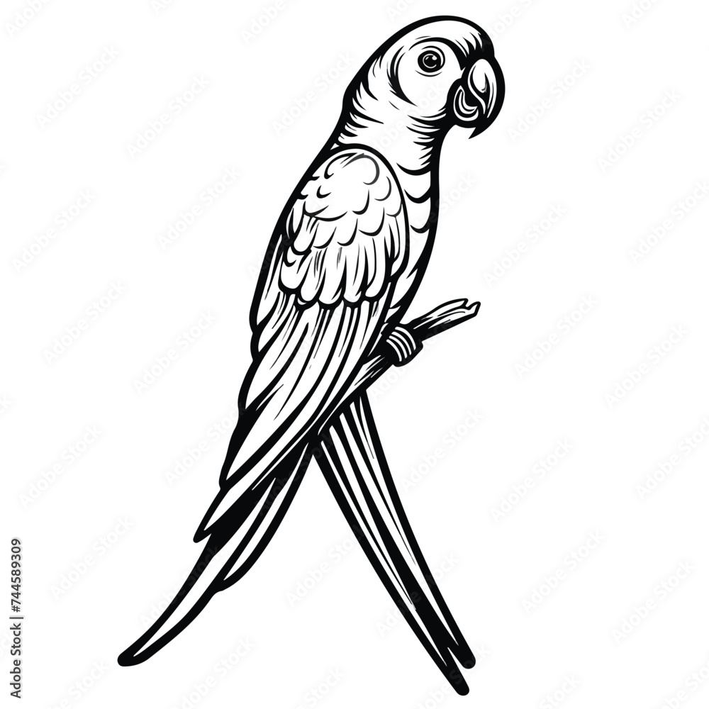 T design parrot drawing icon Vector illustration isolated