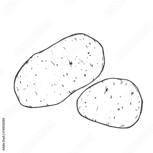 Vector hand drawn potato outline doodle icon.