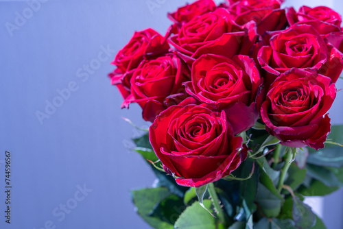 プロポーズ用の赤いバラ
