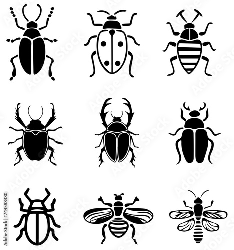 Beetle Bug vector transparent background PNG clipart