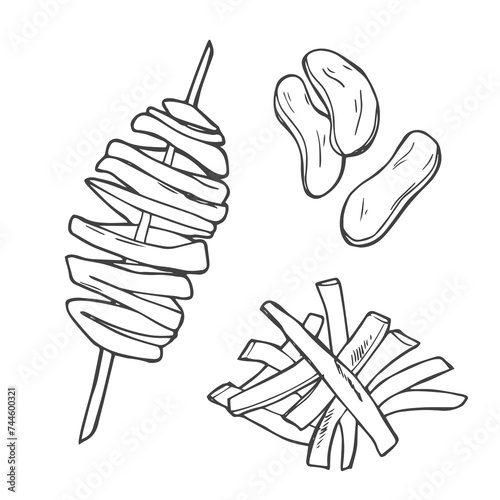 Tornado potato on stick icon. Spiral potato. Fried salt chips fast food. Popular korean street food. French fries and potato chips sketch