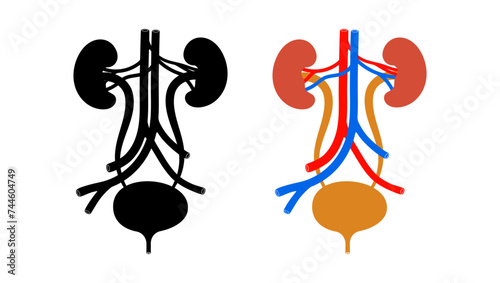 Urology and urinary system emblem, black and color  isolated silhouettes