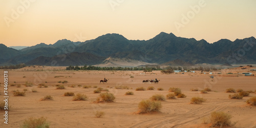 A caravan in the desert