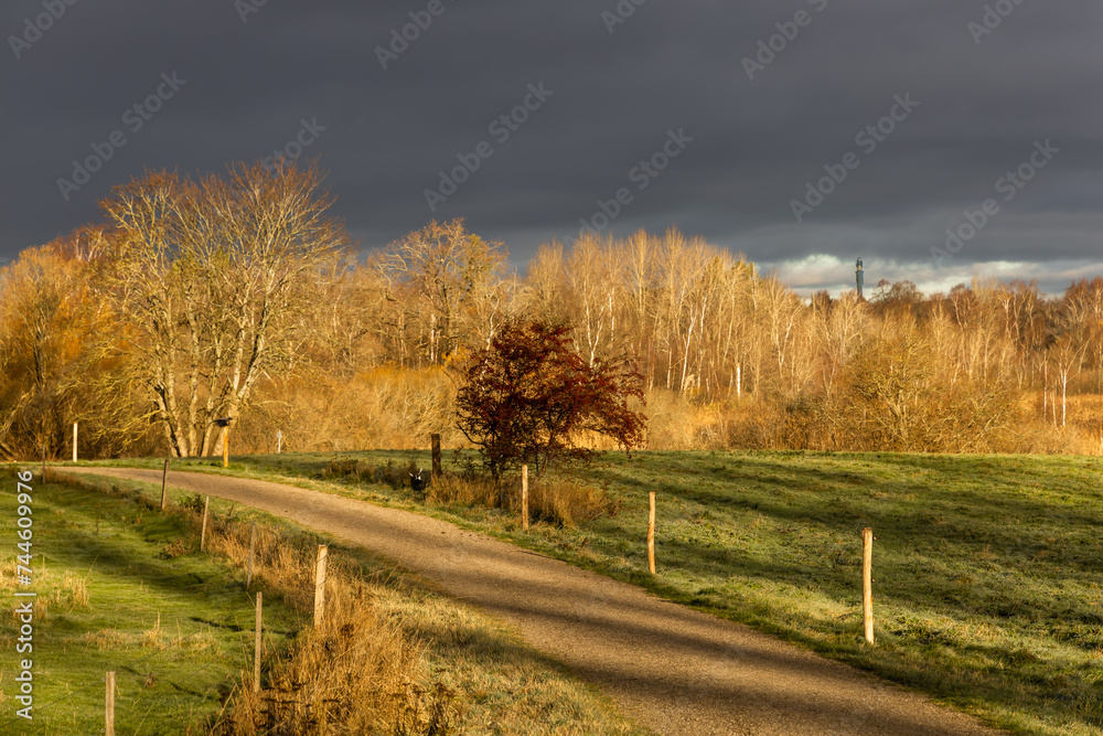 Beautiful arial view of the autumn landscape with a dramatic rain cloud and yellow trees