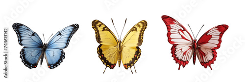 butterflies isolated on transparent background