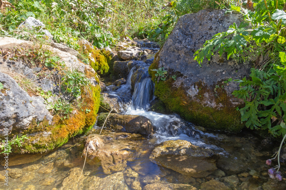 walking along the bed of a mountain river with a visit to unexplored places of the sources of drinking water walking along the bed of a mountain river with a visit to unexplored places of the sources of drinking water