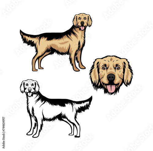 Golden Retriever Dog Cartoon Character Design Illustration   suitable for your design needs  logo  illustration  animation  etc.