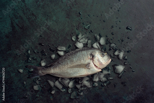 Fototapeta Naklejka Na Ścianę i Meble -  Fresh dorado fish on a background of crushed ice