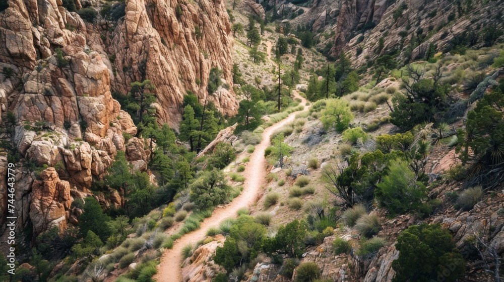 Winding trail through a rugged mountain landscape with lush greenery.
