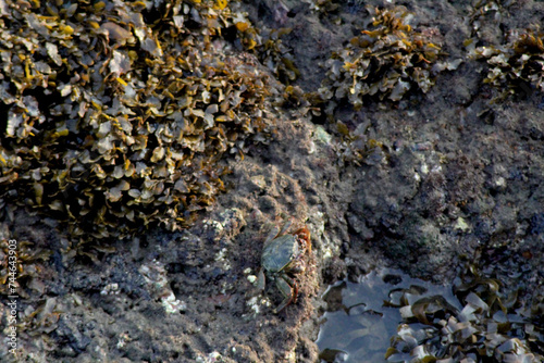 small stone on the beach