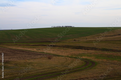 A grassy field with a dirt road