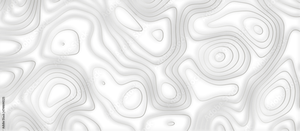 Abstract topographic contours 3d map background .topographic line texture background .monochrome image .stylized height of the topographic map contour in lines. Abstract topographic contours 3d map background .topographic line texture background .monochrome image .stylized height of the topographic map contour in lines.