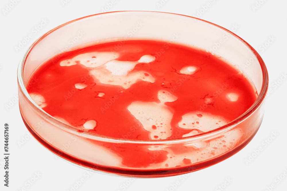 Red liquid, blood, hemoglobin or blood tests in a Petri dish on a light background. Red liquid, blood, hemoglobin or blood tests in a Petri dish on a light background.