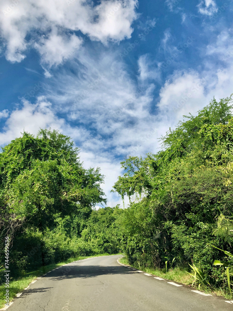Landscape near Chamarel in southern Mauritius Landscape near Chamarel in southern Mauritius