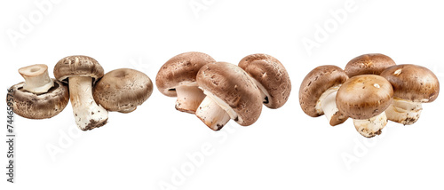 Brown champignon or portobello mushroom isolated transparent background