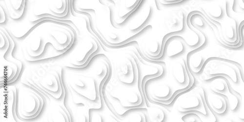  3d render, abstract white paper background. Paper cut vector art background banner texture. multi layer cutout geometric pattern on vector, Abstract soft white background with waves.