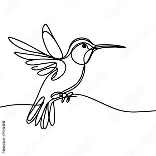 hummingbird perched on a branch, line drawing style