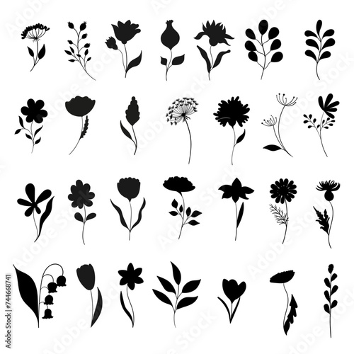 Set of flowers and branches in minimalistic style, hand drawn. Vector silhouette of plants. Floristic brushes. 