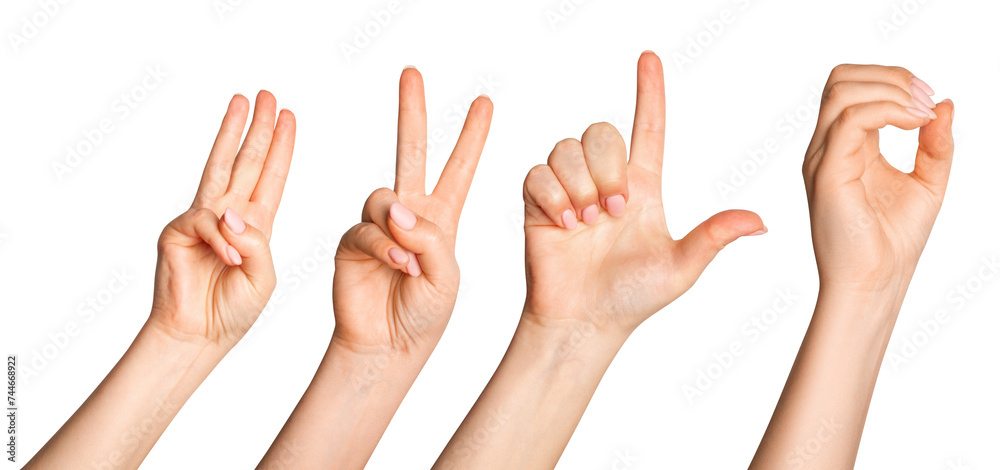Set of female hands with fingers folded in different poses. Set of female hands with fingers folded in different poses.