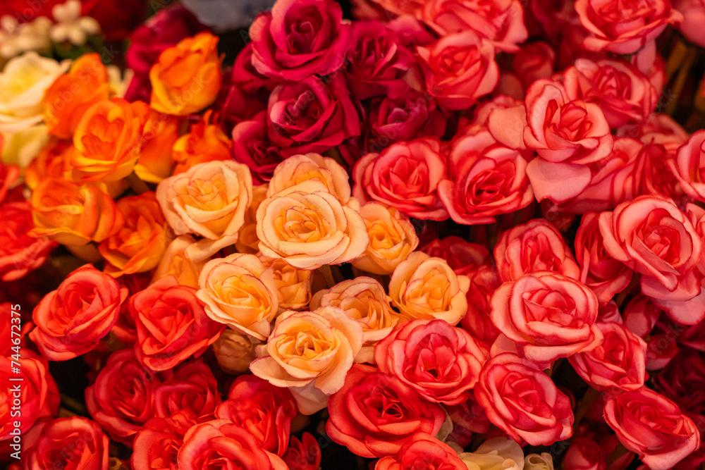 Closeup of some red roses 