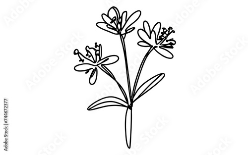 A minimalist, artistically rendered image of a small bouquet of flowers using simple, single lines. Emphasize the beauty of the flowers with graceful, flowing lines, while keeping the overall style cl