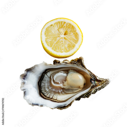 Oyster and lemon on white background. With clipping path.