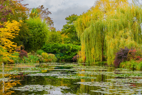 A beautiful pond surrounded by forest in autumn