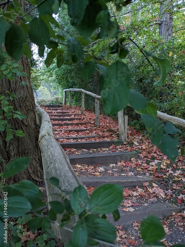 Stairs in the autumn