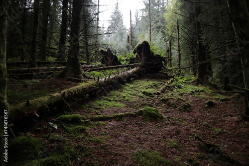 Three lochs drive, Aberfoyle, scottish highlands