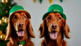 Couple of fun pretty Irish setters close-up in leprechaun hats, St. Patrick holiday party created with generative ai 