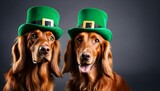 Couple of fun pretty Irish setters close-up in leprechaun hats, St. Patrick holiday party created with generative ai 