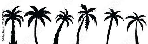 Tropical palm trees vector set. Summer silhouette Black palm tree icon symbol vector sign isolated on white background. Vector illustration.