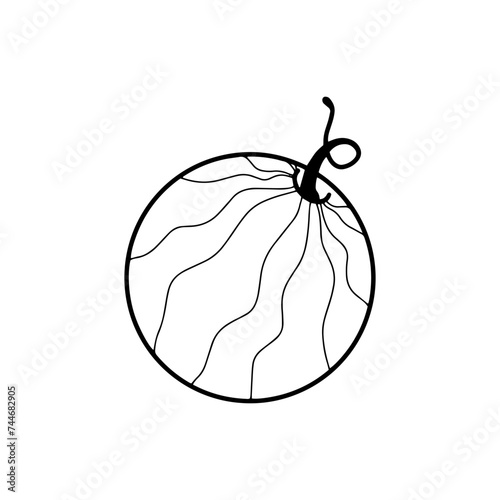 hand drawn illustration of an watermelon