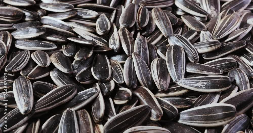 Sunflower seeds of a rare species of zebra. Top view of seeds on a rotating