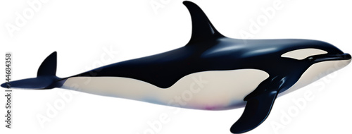 Orca  Watercolor painting of Killer Whale  Orca .