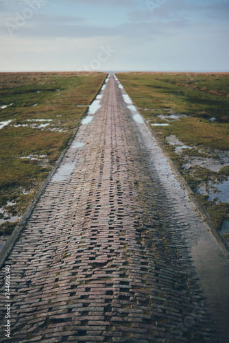 Brick Path into wadden sea at westerhever in germany. High quality photo
