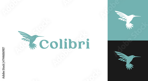 hummingbird logo vector illustration, simple colibri logo template