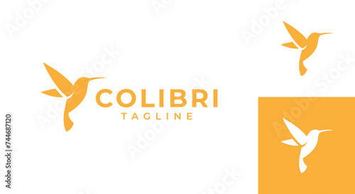 hummingbird logo vector illustration, simple colibri logo template